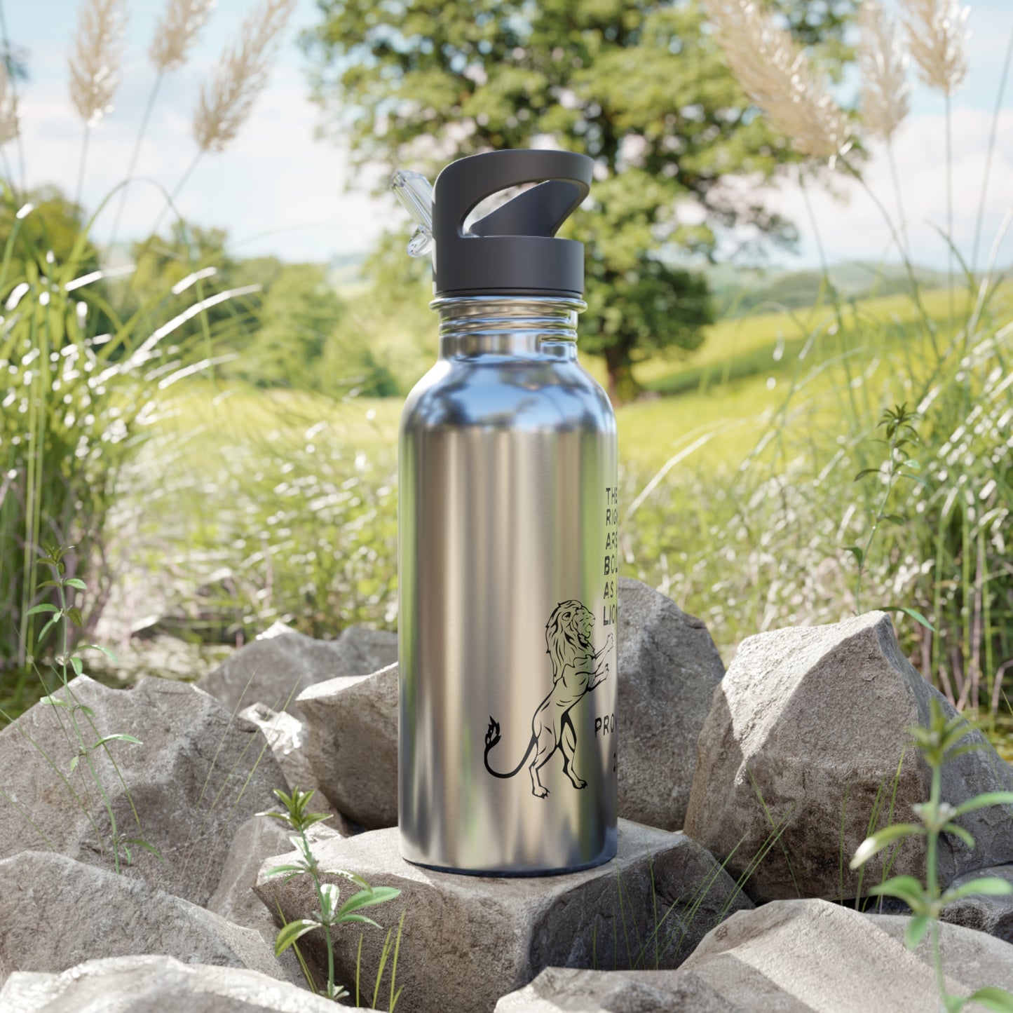 The Righteous Are Bold as a Lion 20oz Stainless Water Bottle with Straw