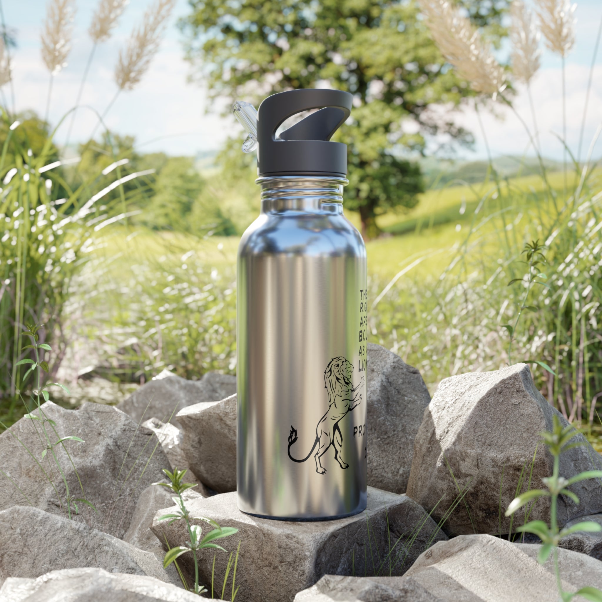 The Righteous Are Bold as a Lion 20oz Stainless Water Bottle with Straw